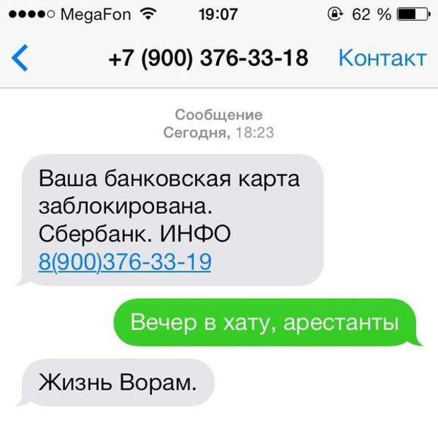 СМС-мошенники часто попадают не по адресу  вор, животные, прикол, юмор