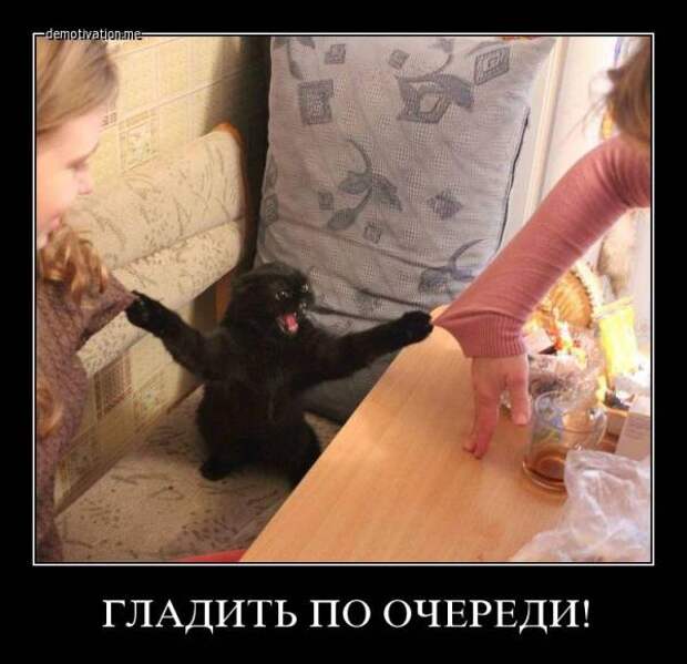 Демотиваторы демотиваторы