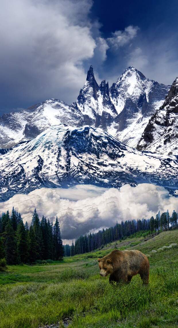Удивительно мощная красота гор