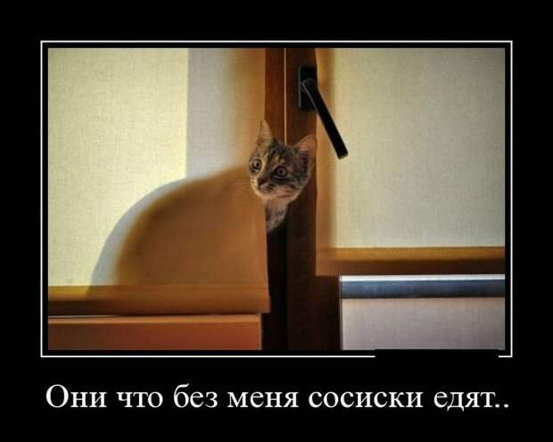 Демотиваторы демотиваторы, прикол, смех, юмор
