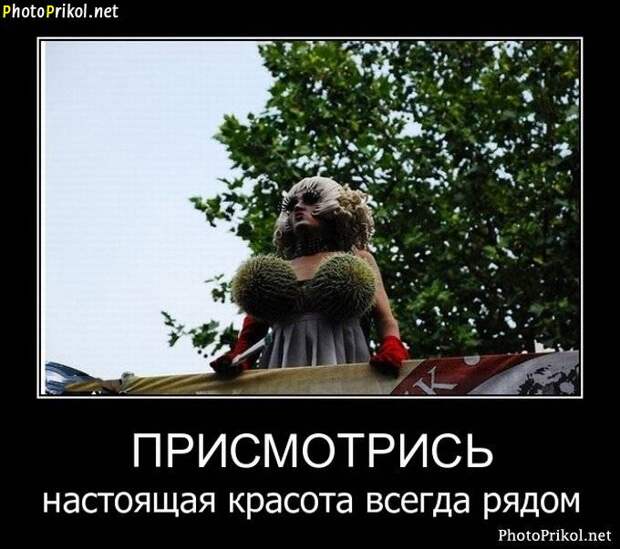 Демотиваторы приколы 3 Демотиваторы приколы 3