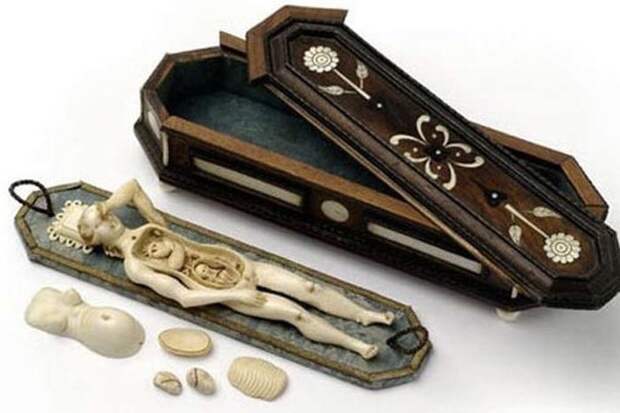 9. Анатомическая модель беременной женщины. А футляр в виде гроба служил напоминанием, что изучать анатомию можно лишь на умерших людях, приблизительно 1680 год медицина, ретро, фото