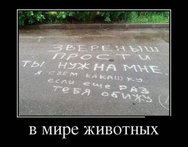 Новые воскресные демотиваторы