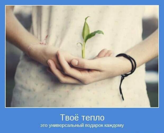 Мотиваторы, для тех кому нужна порция тепла и поддержки