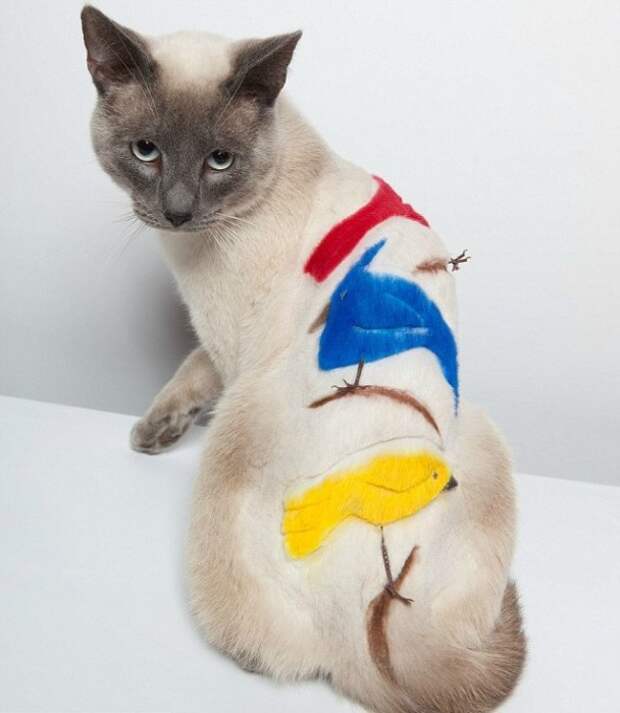 Птички, которых нельзя поймать.