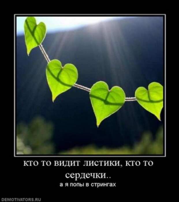 Демотиваторы новые фото приколы и смешные.