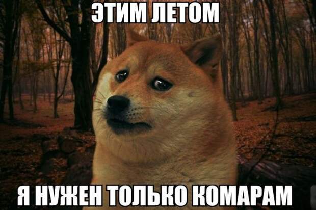 Подборка прикольных фото №1148 (93 фото) Подборка прикольных фото №1148 (93 фото)