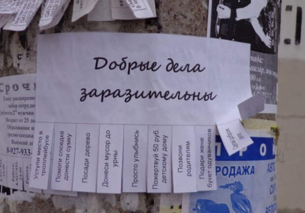 15 добрых объявлений, вселяющих надежду добро, объявления, позитив