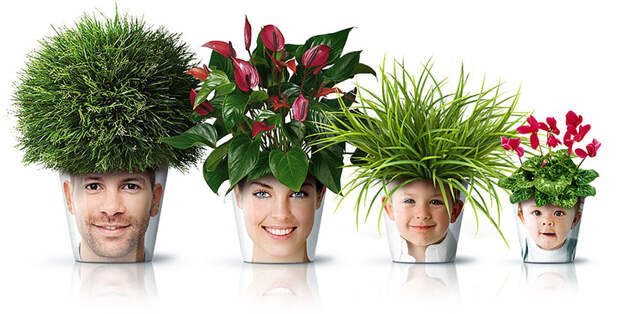 creative-flower-planters-6__880