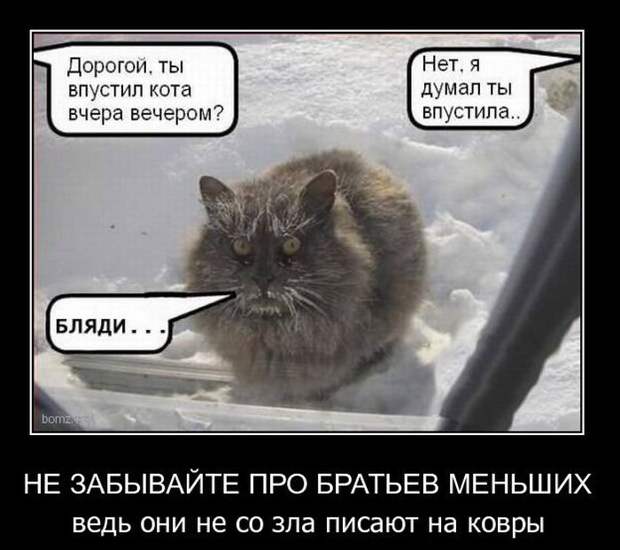 Сборник моих демотиваторов демотиватор, сборник