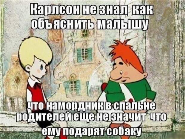 Пачка новых фото-приколов