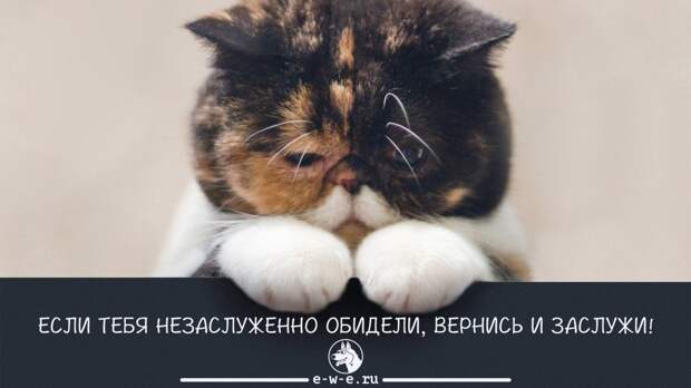 Психология 3
