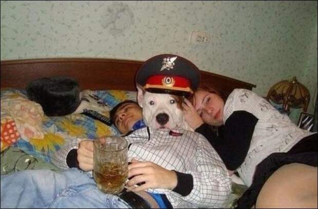 Показалось! девушки, фото