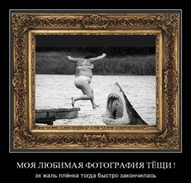 Демотиваторы свежие.