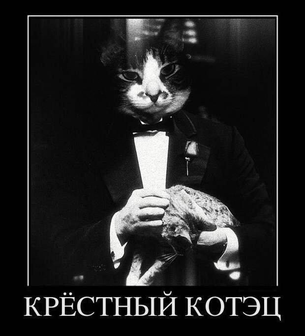 Демотиваторы (32 фото)