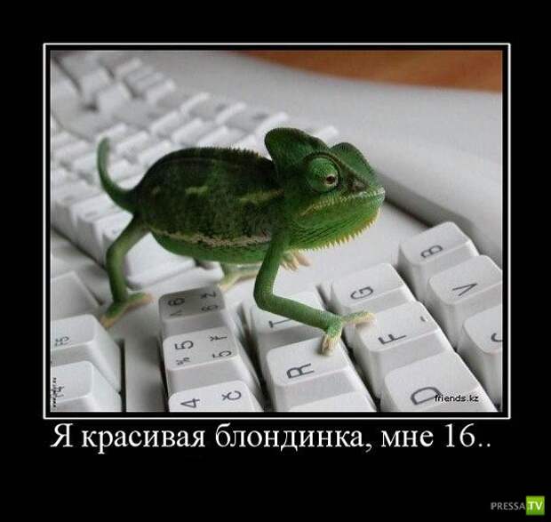 Демотиваторы на июнь, часть 9 (31 фото) Демотиваторы на июнь, часть 9 (31 фото)