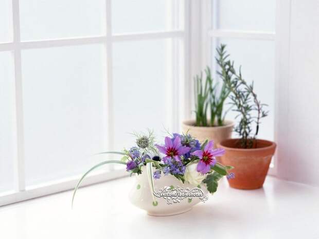 e67pro3x81I (604x453, 31Kb)