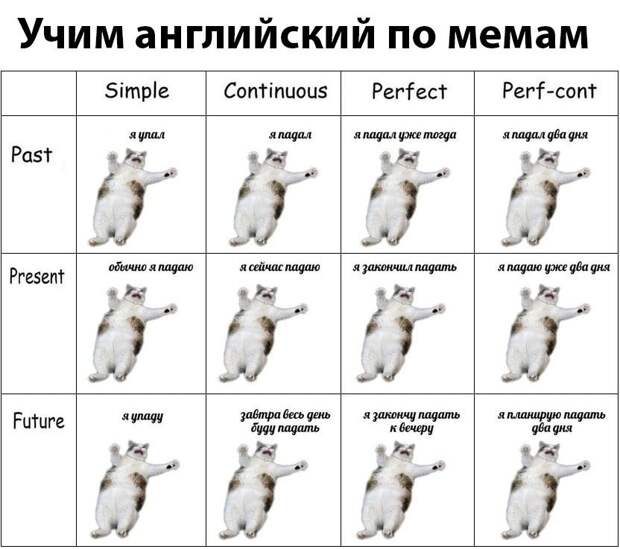kartinok-prikolnyh-podborka-kartinki-smeshnye-kartinki-fotoprikoly