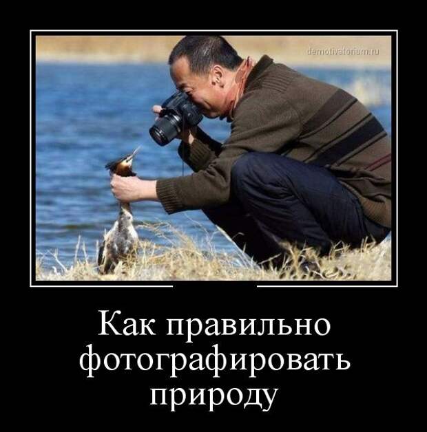Демотиваторы (30 фото) Демотиваторы (30 фото)