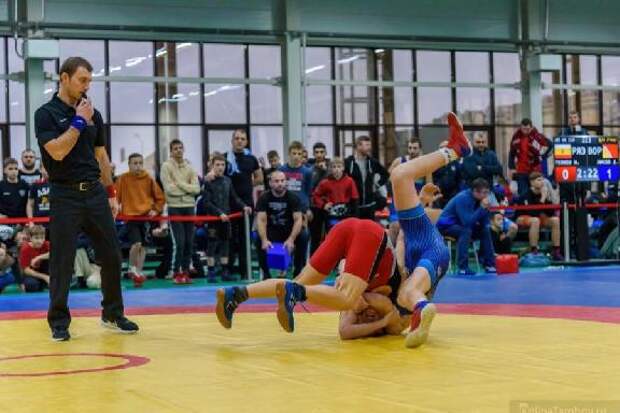 В Тамбове стартует первенство ЦФО по греко-римской борьбе