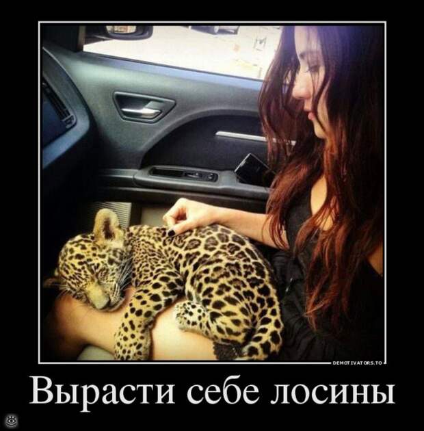 Не забывай включить мозг! 15
