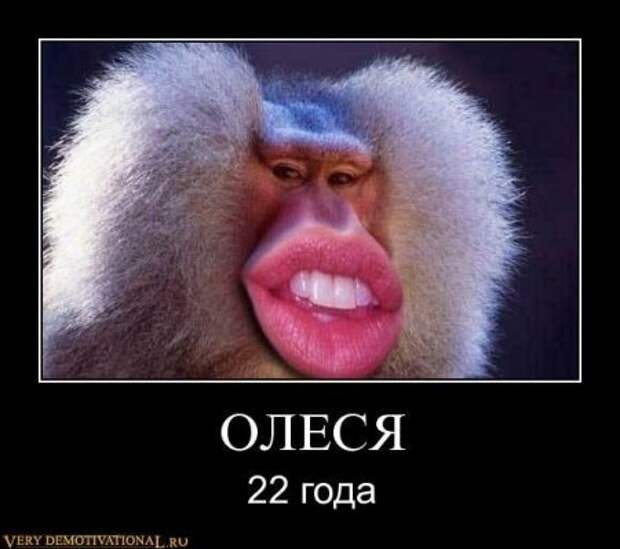 Демотиваторы это не просто прикольные фотки, но еще и множество смешных подписей.