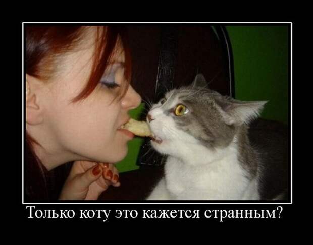 Демотиваторы (133 картинки)