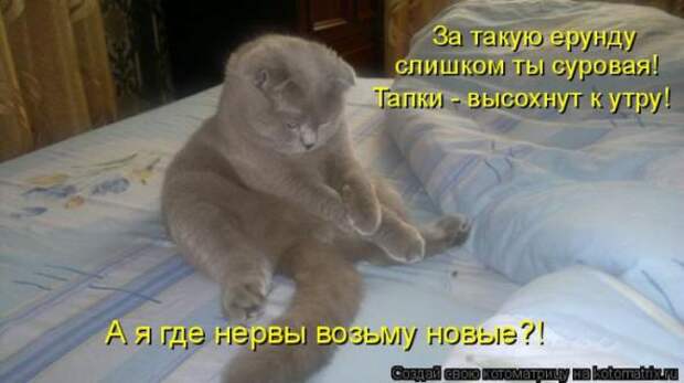 Котоматрицы (картинки с надписями)
