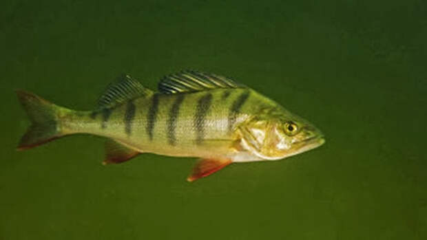 clip_image002[6]