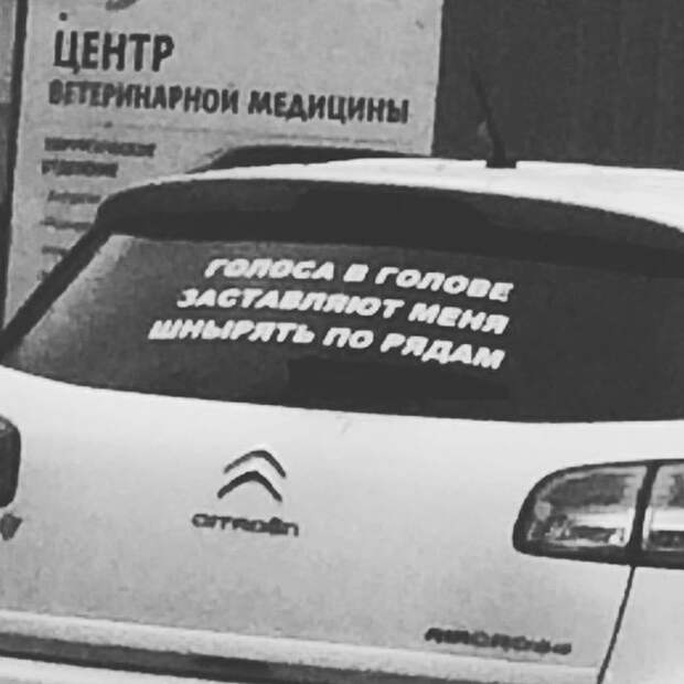 Чего только не встретишь на дорогах асфальт, дорожная разметка, надписи на машинах, прикол