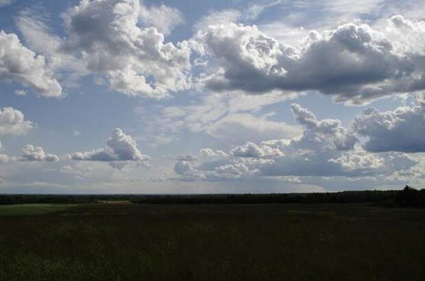 Прокуратура вернула муниципалитету земельный участок в Приозерске