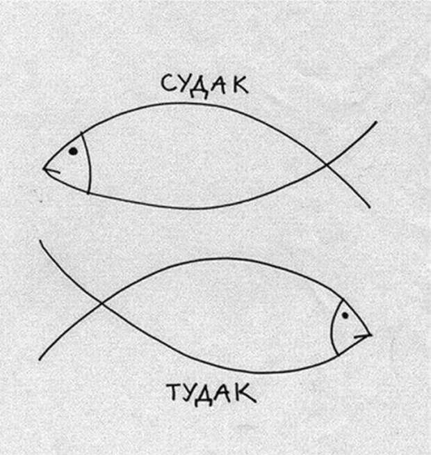 Фото-приколы для настроения (44 шт)
