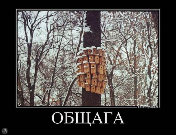 Шёл третий день масленицы... 22