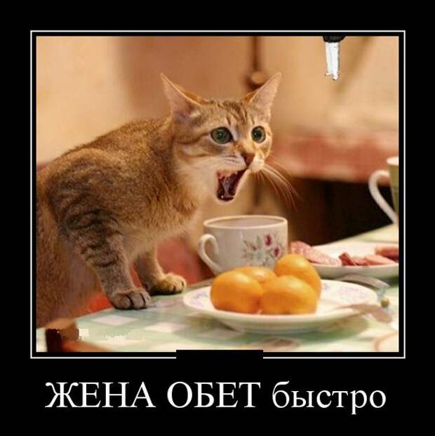 Демотиваторы (30 фото)