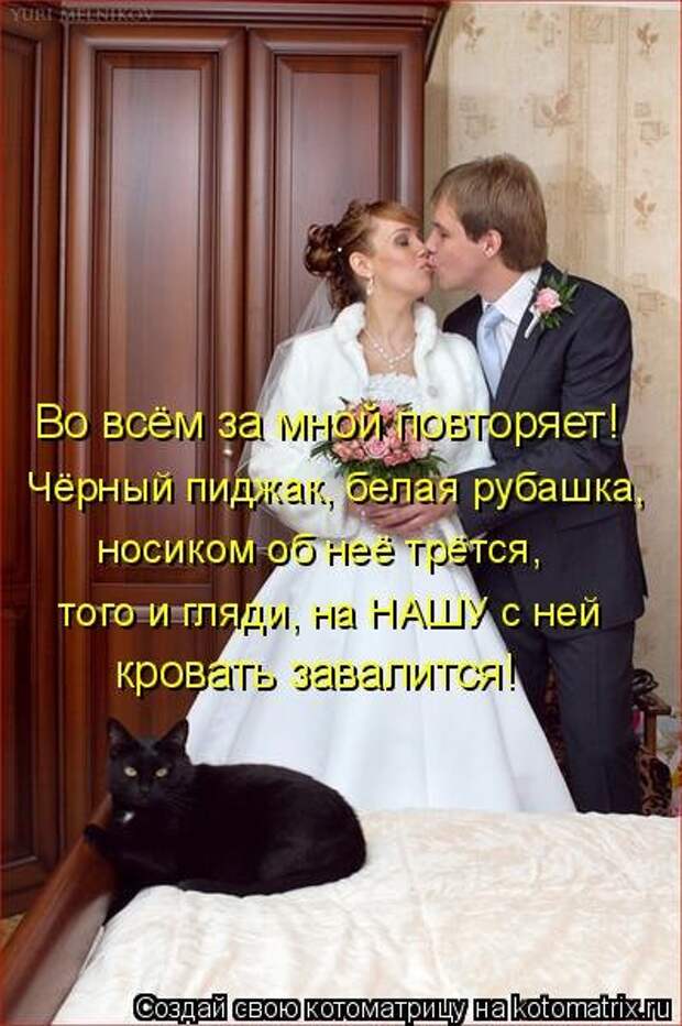 Котоматрица про любовь (часть 2)