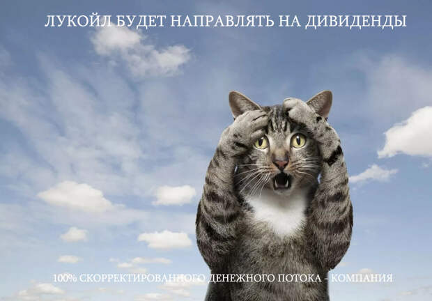Лукойл, обзор дивидендной политики. Консервативный прогноз.