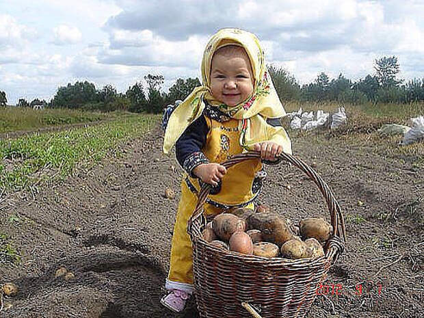 Все профессии хороши дети, картинки, прикол, юмор