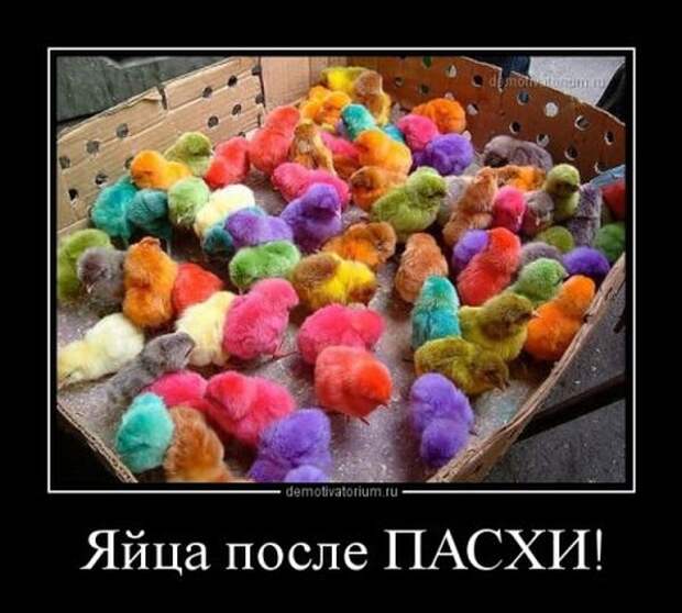 Демотиваторы демотиваторы, прикол, смех, юмор