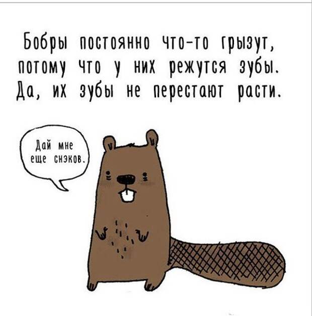 AOA3LxWRLTI