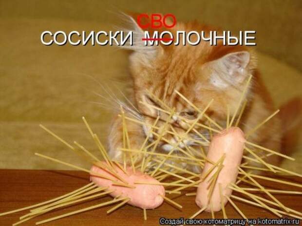 Котоматрица 26