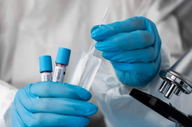 Инфекционист Исаев оценил риск новой пандемии из-за вируса Нипах