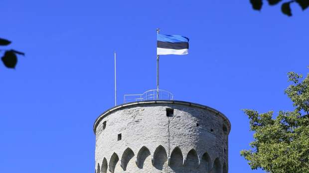 Безпалько о сносе памятника Красной армии в Эстонии: открыто демонстрируют приверженность нацизму