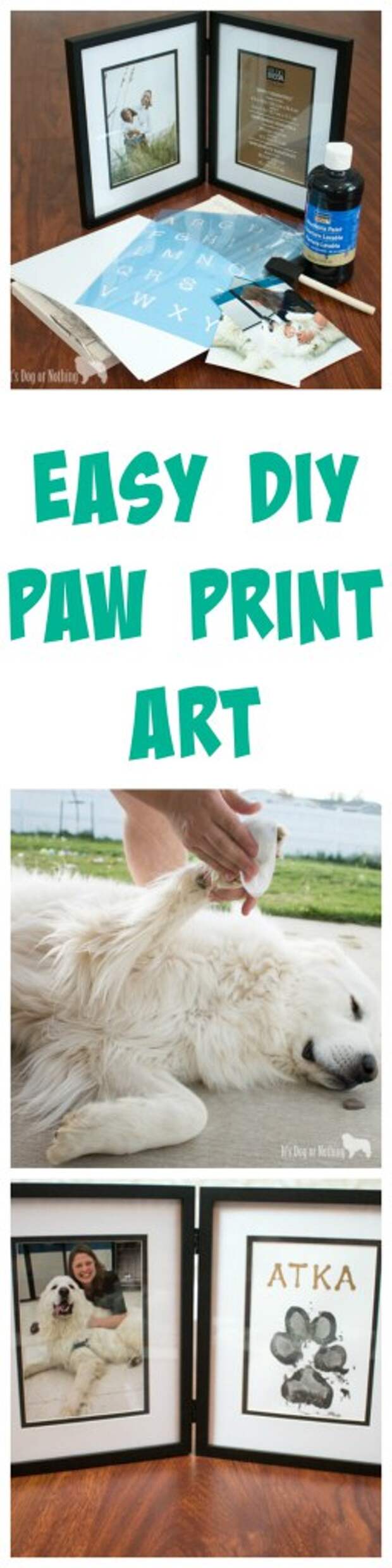 Have you ever wanted something special to remember or celebrate your pet? Check out this super easy tutorial to create your own paw print art!