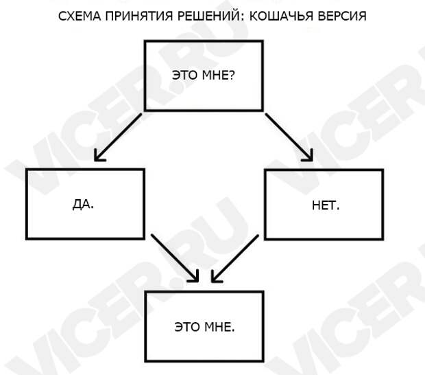 кошачья логика