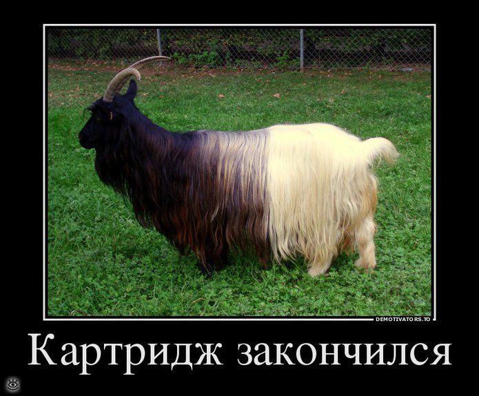 Будь реалистом! 2