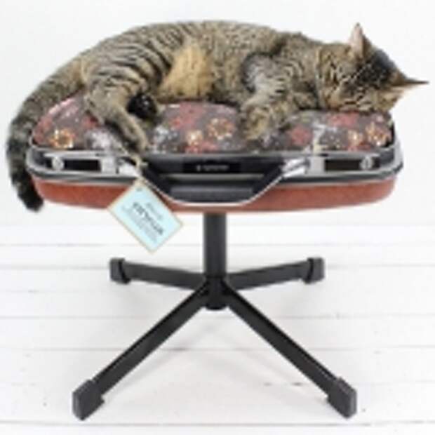 recycled-suitcase-ideas-pets-bed2.jpg