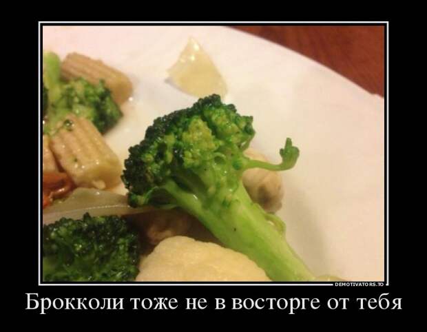 Демотиваторы  демотиваторы, прикол, смех, юмор