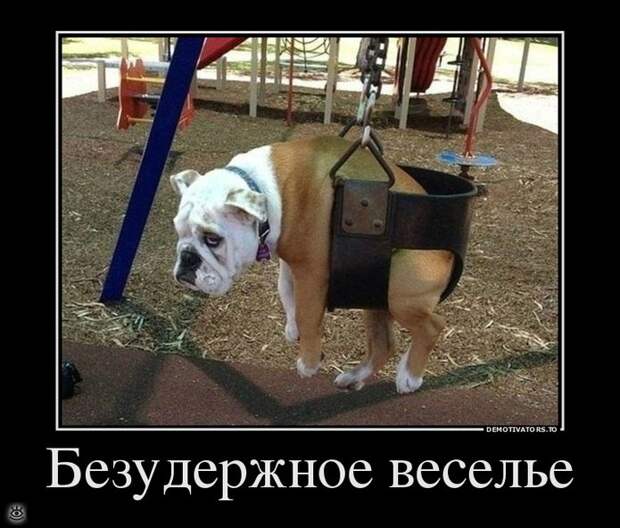 Безвозмездные демотиваторы 7
