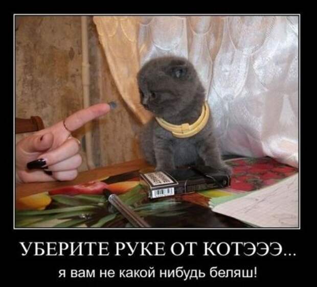 Новые демотиваторы на начало недели!