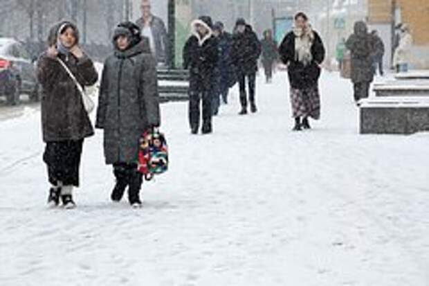 Москвичей успокоили насчет предстоящего снегопада